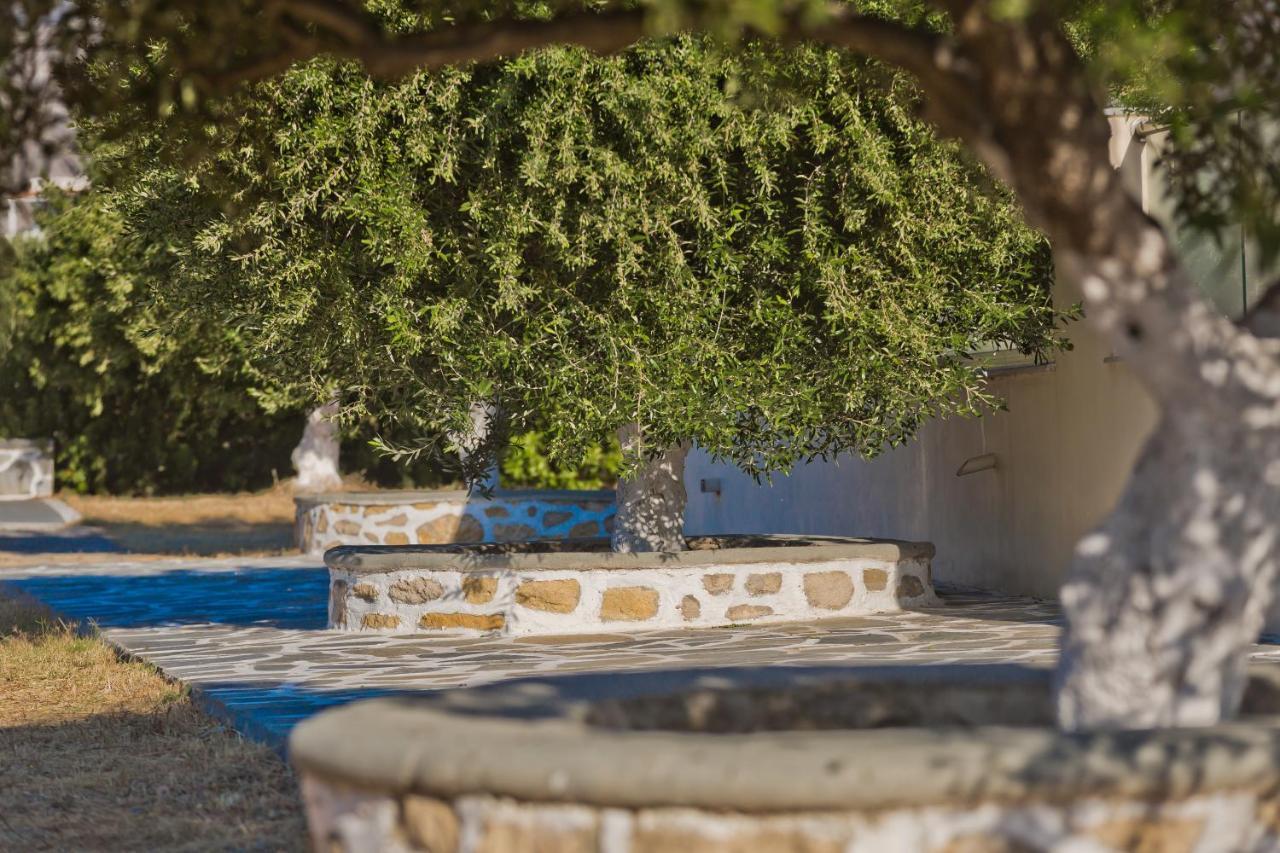 Olive Studios Karpathos Studio #4 Dış mekan fotoğraf