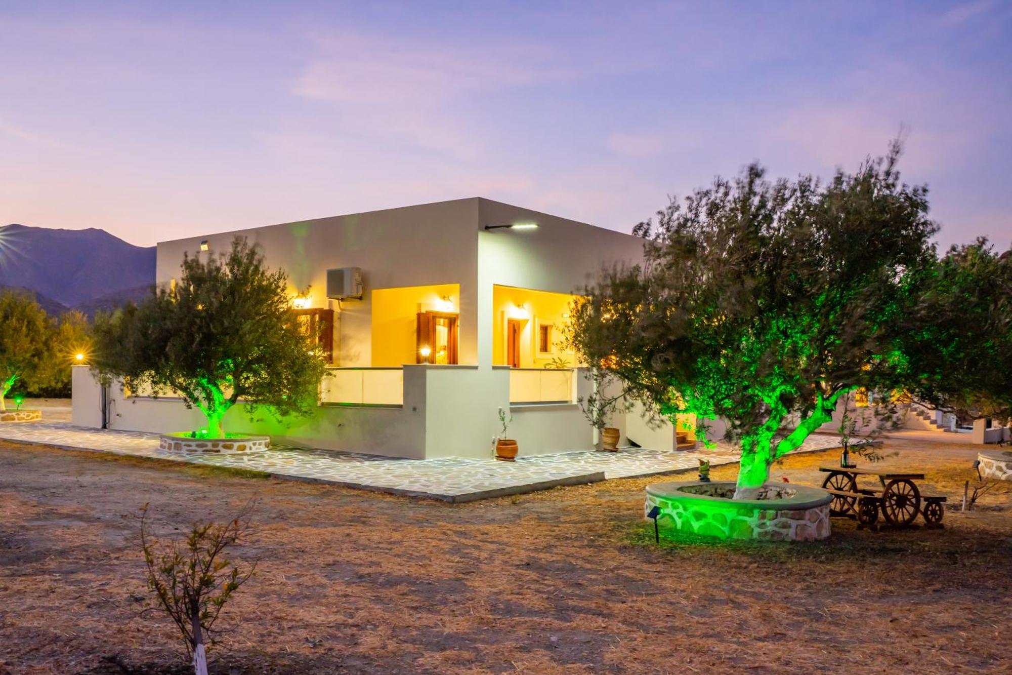 Olive Studios Karpathos Studio #4 Dış mekan fotoğraf